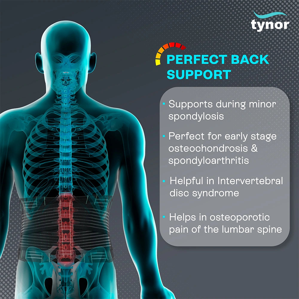 Back Support Belt