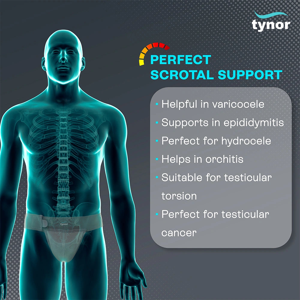 Scrotal Support
