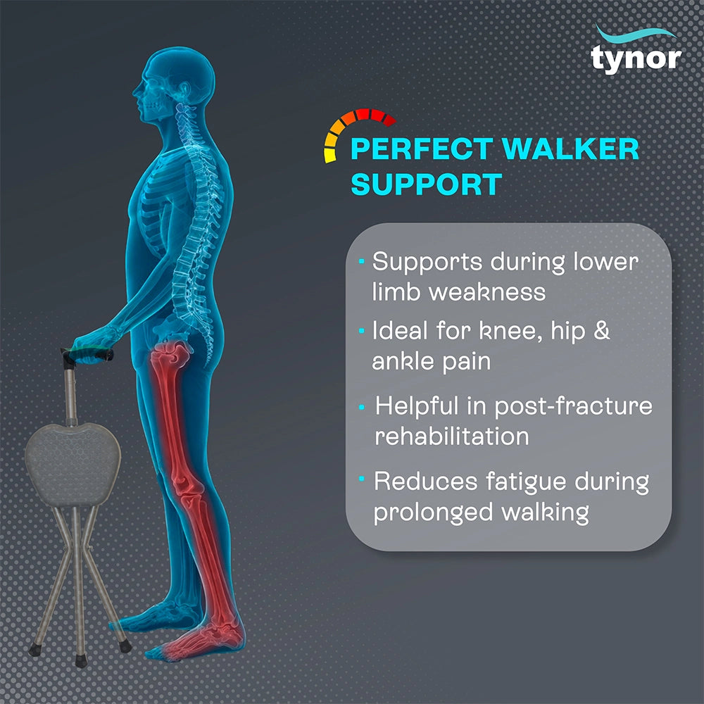 WALKING STICK WITH SEAT