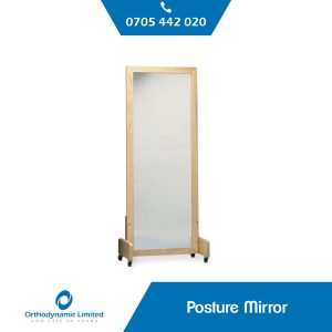 Posture Mirror With Floor Stand And Casters