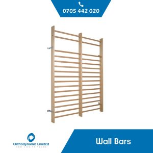 Wall Bars
