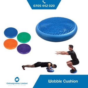 Wobble Cushion